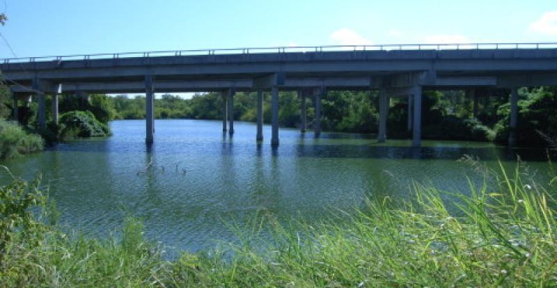 I-820 wetland delineation
