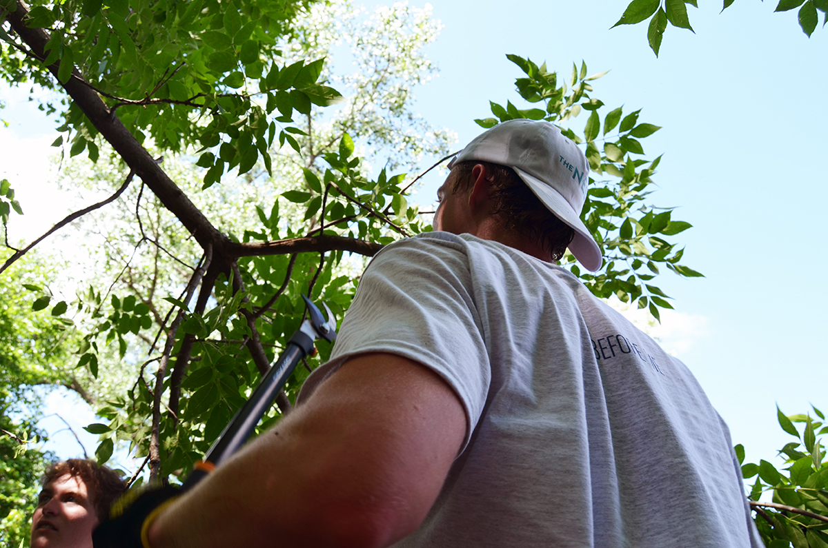 Intern Volunteering 2