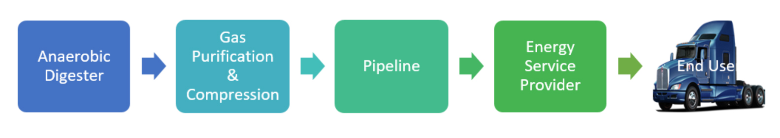 Biogas Chain