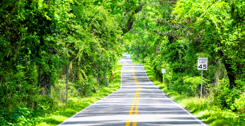 Scenic two-lane country road with bright yellow center lines, surrounded by lush green trees forming a canopy overhead. Sunlight filters through dense foliage, casting shadows on the asphalt. A speed limit sign of 45 mph is visible on the right side, creating a peaceful rural travel scene